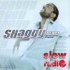 Shaggy - Angel